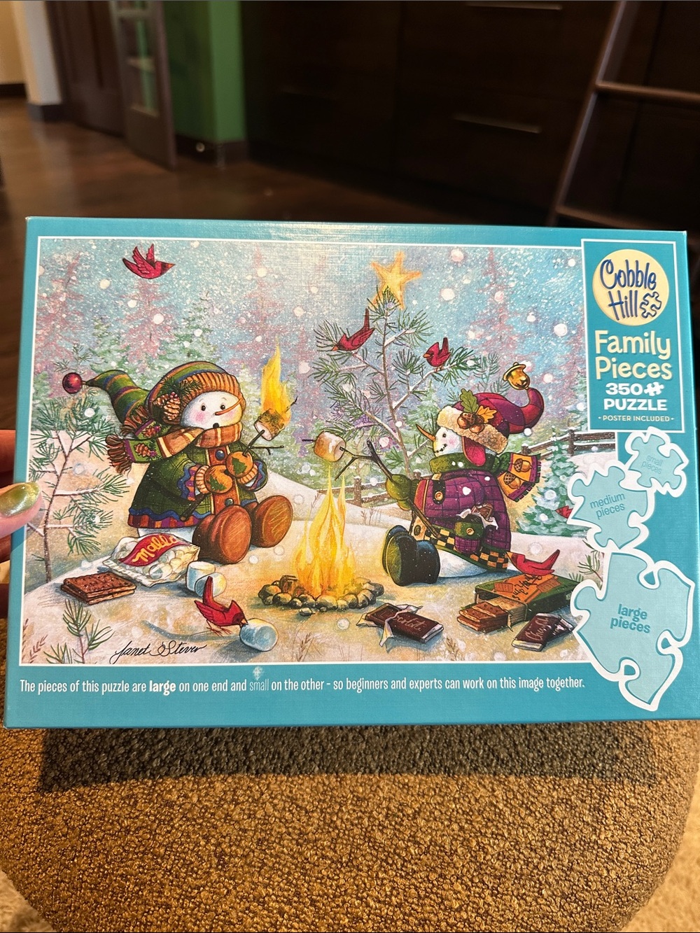 Cobble Hill Family Pieces 350 piece puzzle